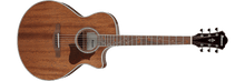 Load image into Gallery viewer, Ibanez AE245 NT Acoustic-Electric Guitar Natural