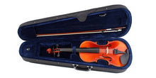 Load image into Gallery viewer, Violin Giuliani 3/4 Natural
